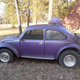 Illustration for article titled CL: Purple 1974 Super Beetle BAHA has a Mohawk